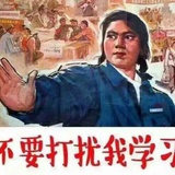 小猫爱逛汽车
