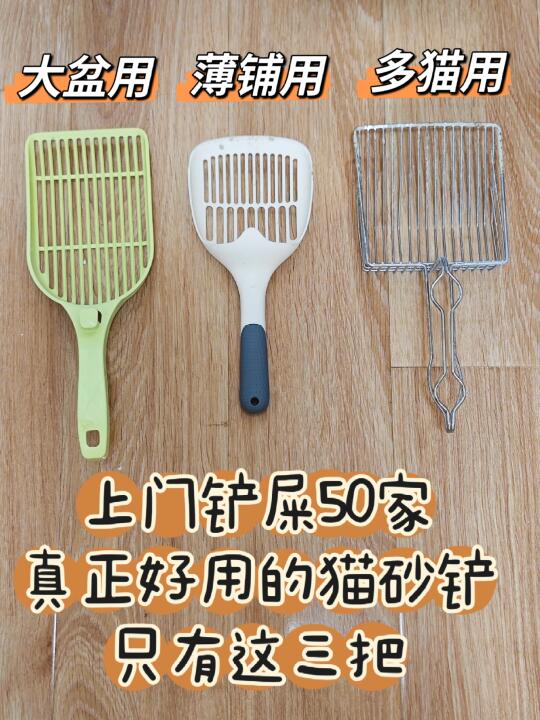 扔了N把猫砂铲，最终只留下这三个