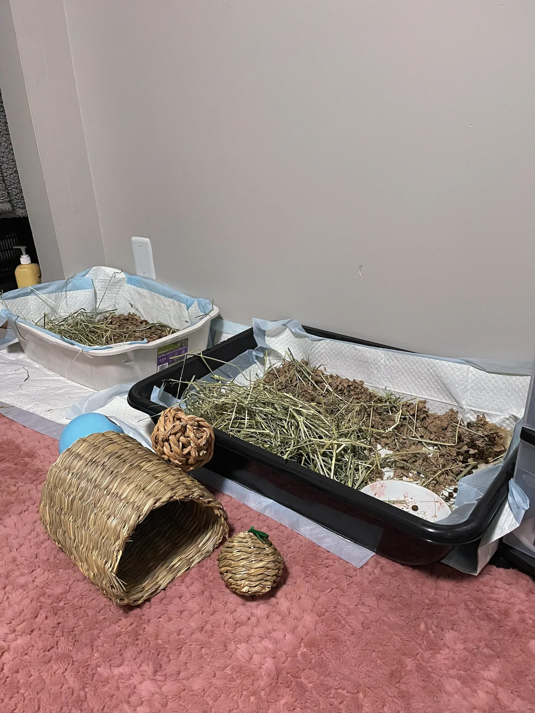 强烈推荐homedepot的这个大托盘！！！才8🔪！！！