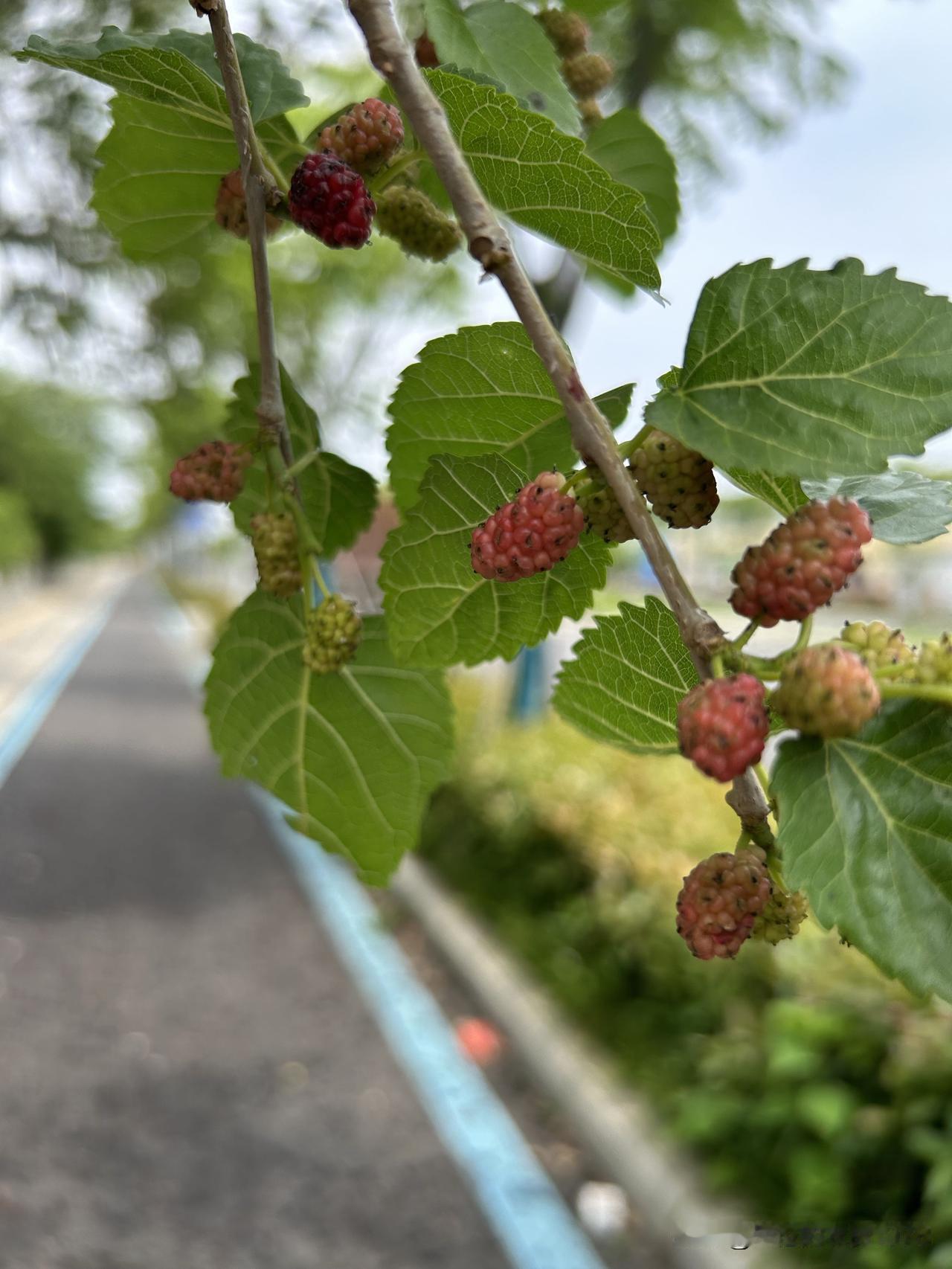 为什么越是穷人，
       越喜欢控制身边的人？
贫穷导致
       资
