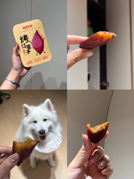 网友的嘴真严啊！