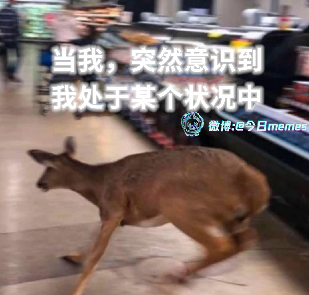 我草（9gag）今日meme[超话] 今日memes ​​​