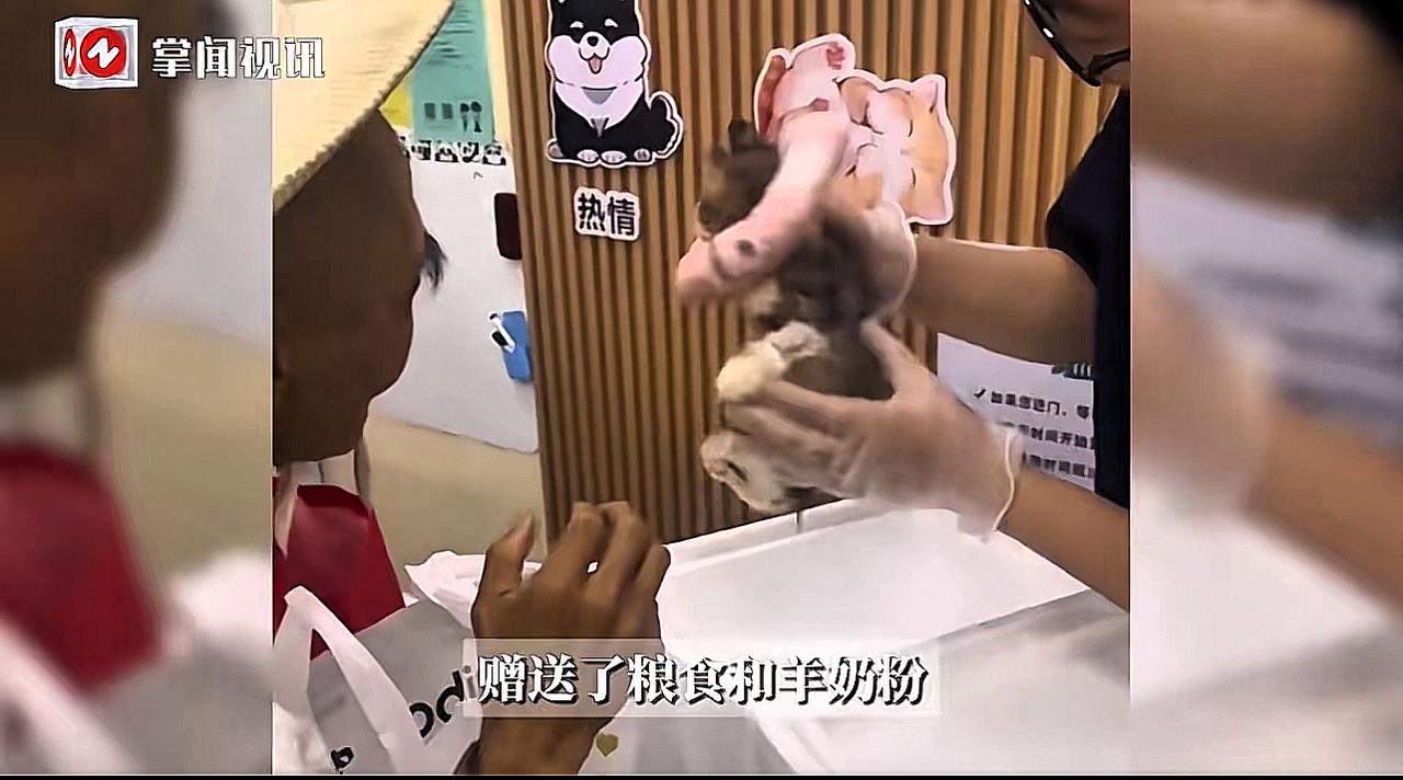 500块全家底救猫！山东这幕让全网破防：善良从不是钱堆出来的

谁能想到，一位老