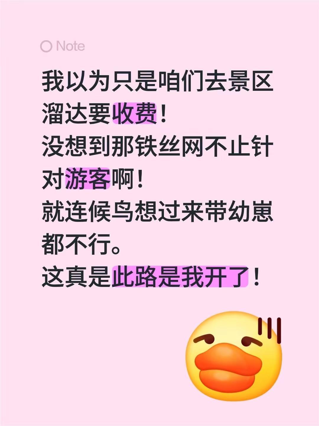 我以为只是咱们去景区溜达要收费！没想到那铁丝网不止针对游客啊！就连候鸟想过来带幼
