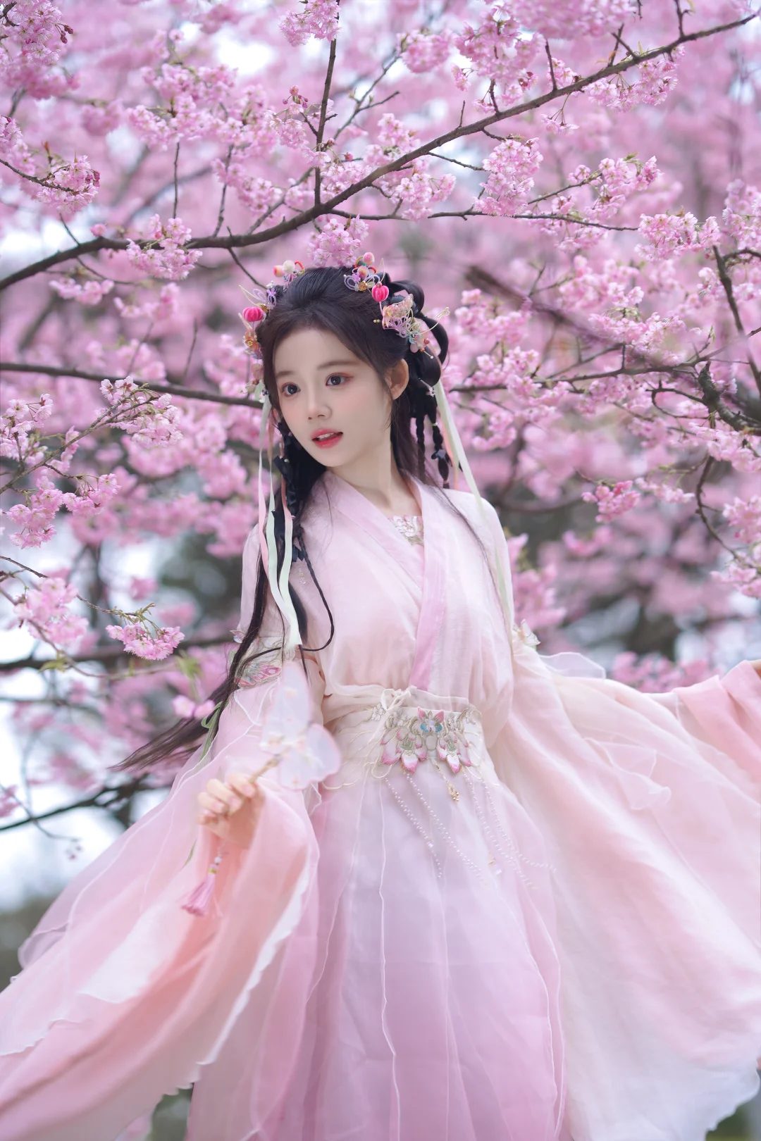 重庆的早樱花开啦，这也太美了吧！