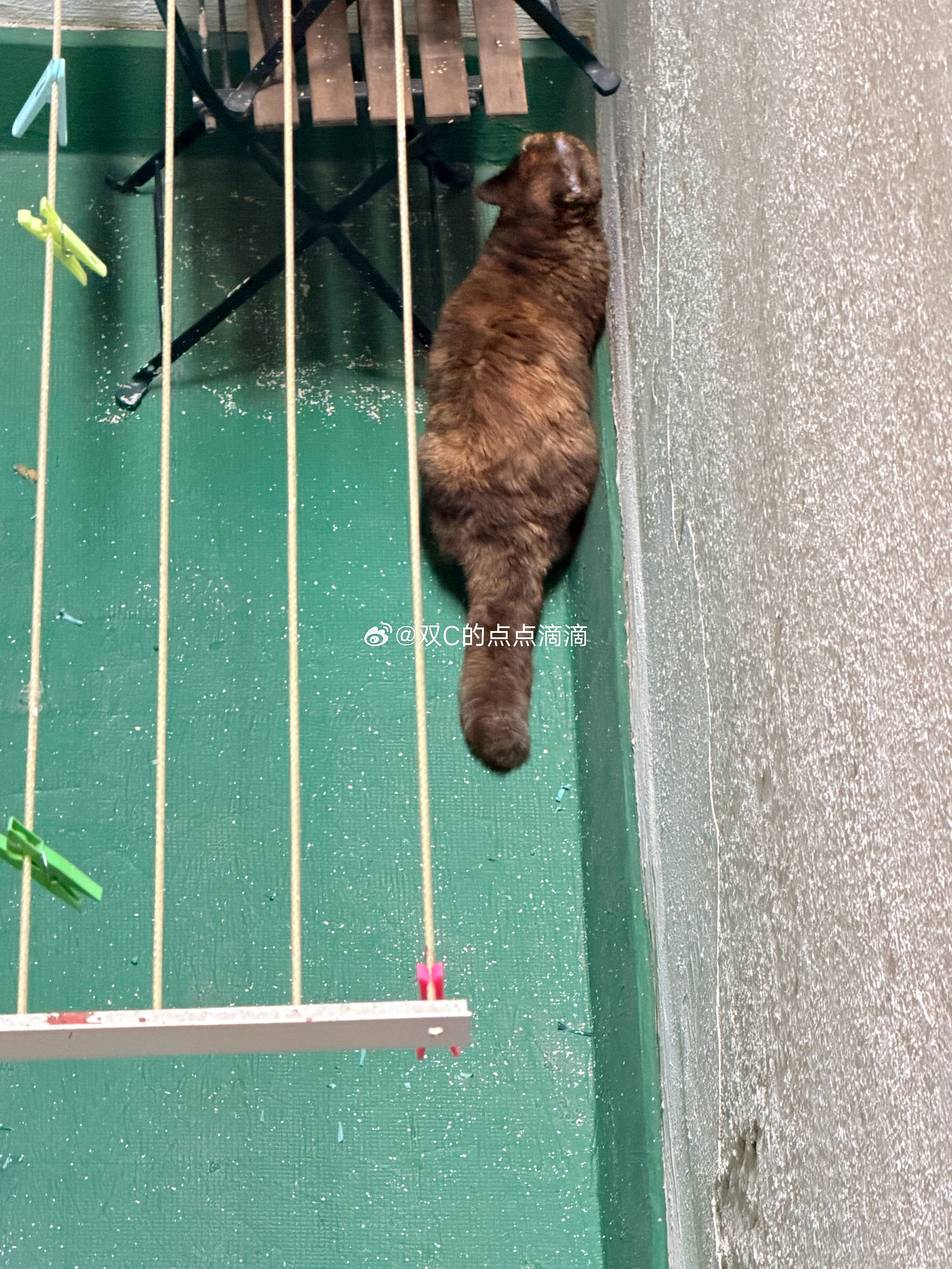 完蛋了完蛋了妹妹掉下去了 ​​​