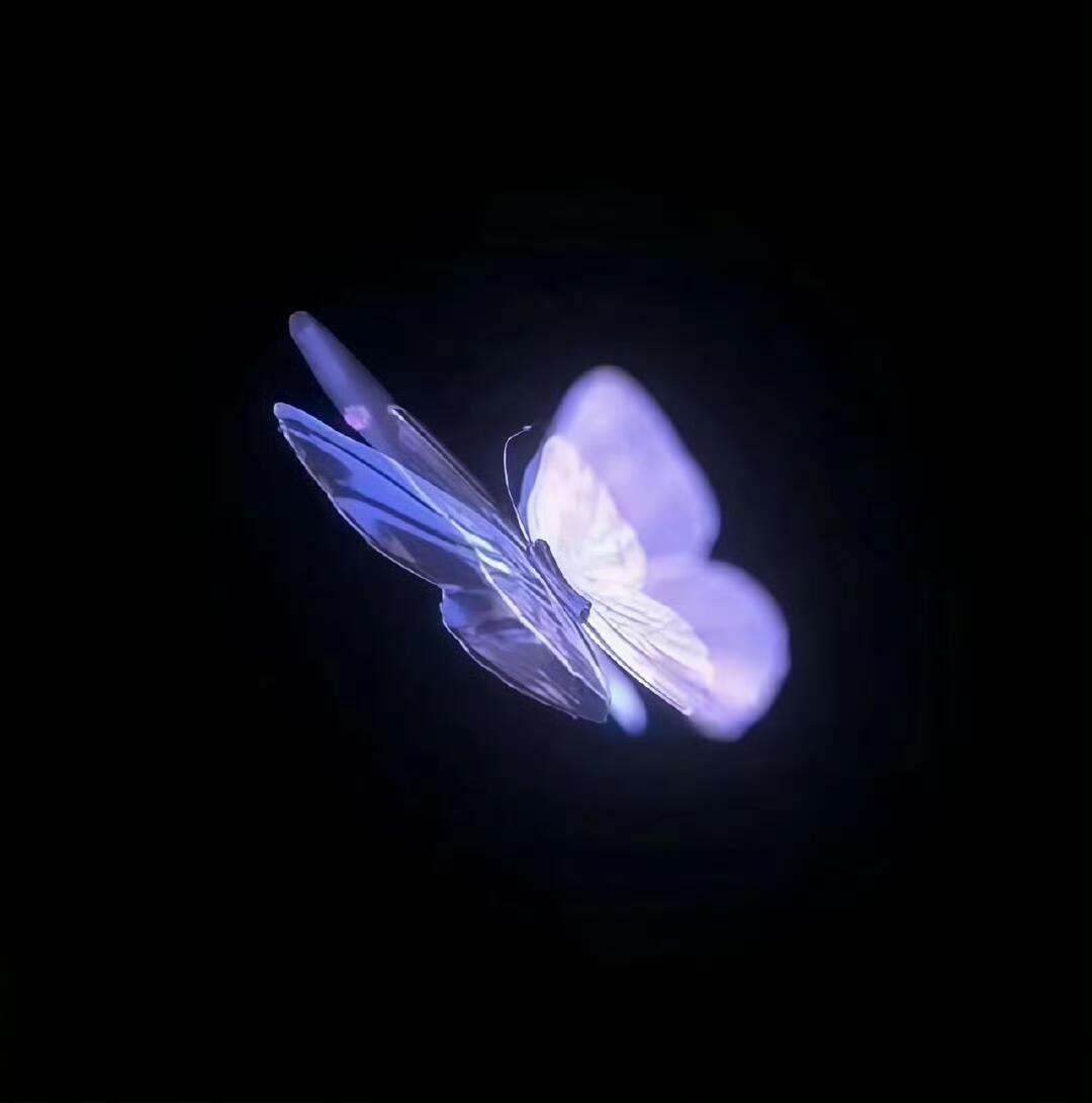 就像世界上没有完全相同的两片叶子一样，每个人都有一份自己独特的优秀。善于宽容别人