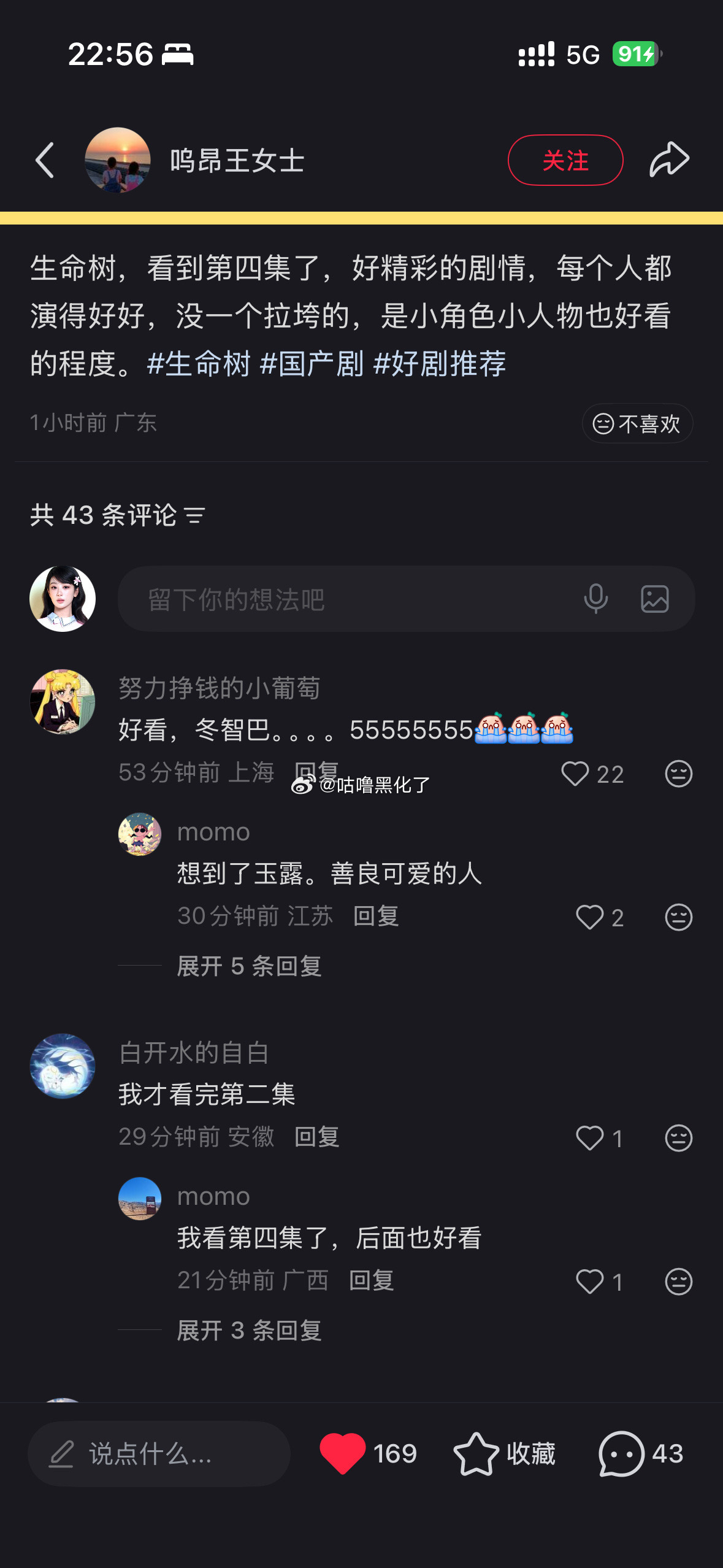 来看一下真正的路人对生命树的评价，跳出粉圈吧！生命树看哭了生命树题材特殊