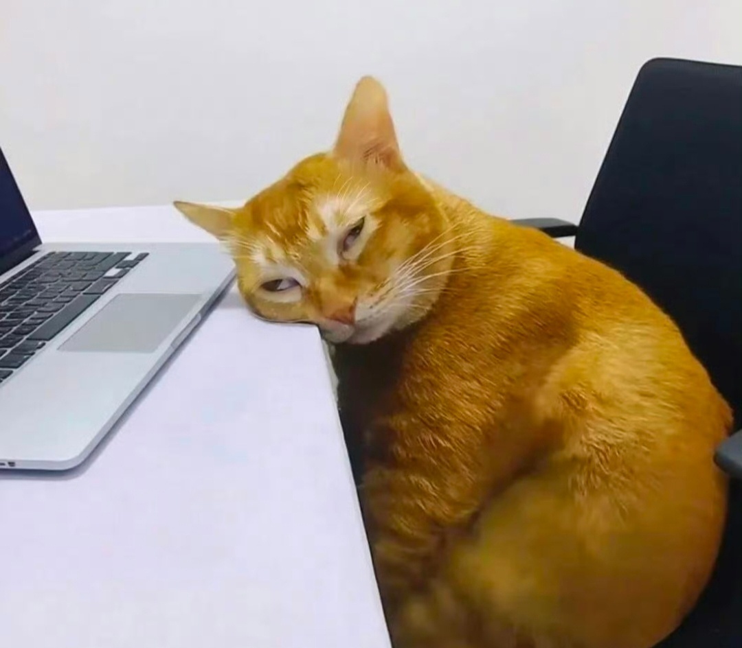 晚安💤 