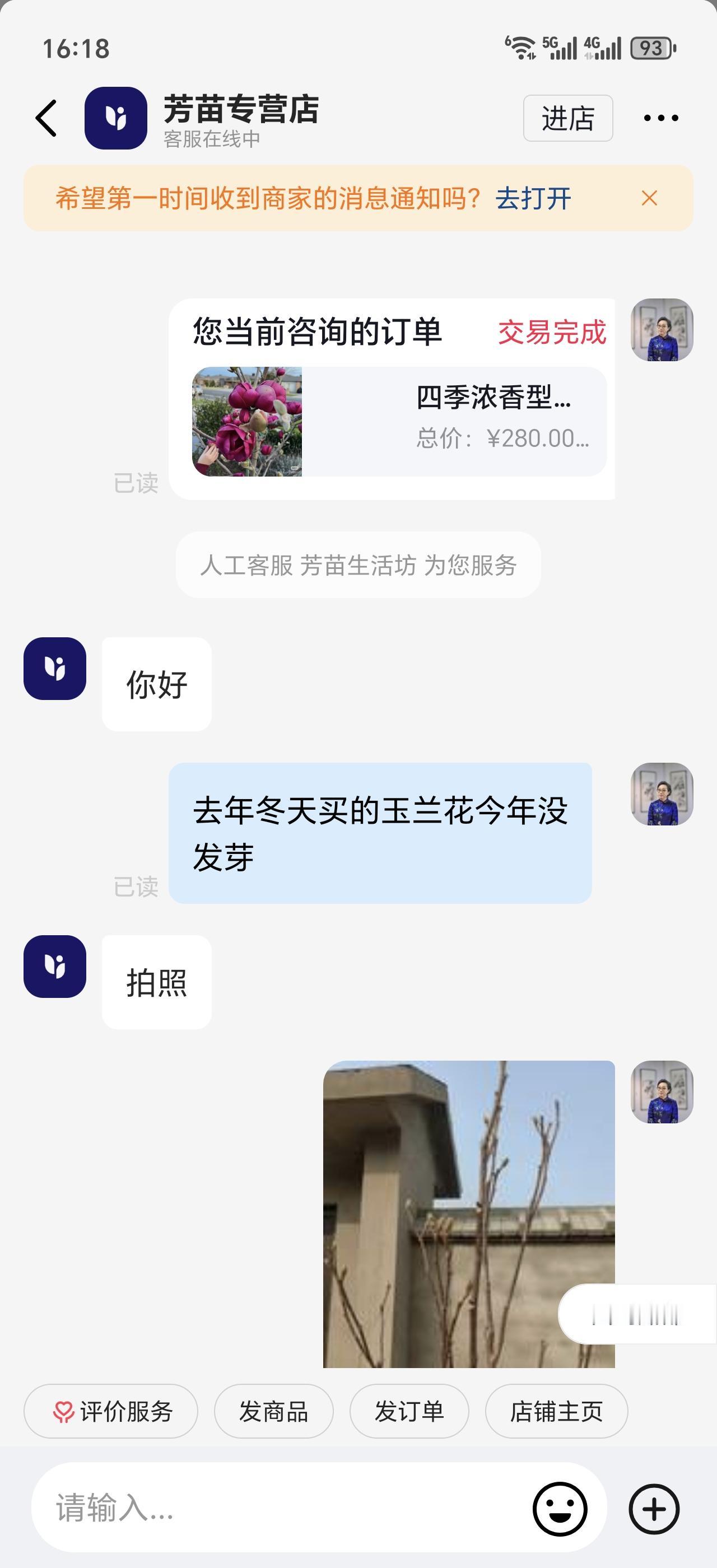 这个陷阱是谁给谁挖的？
商家冬季卖玉兰树苗，买家在春季发现苗已死，找商家补发，因