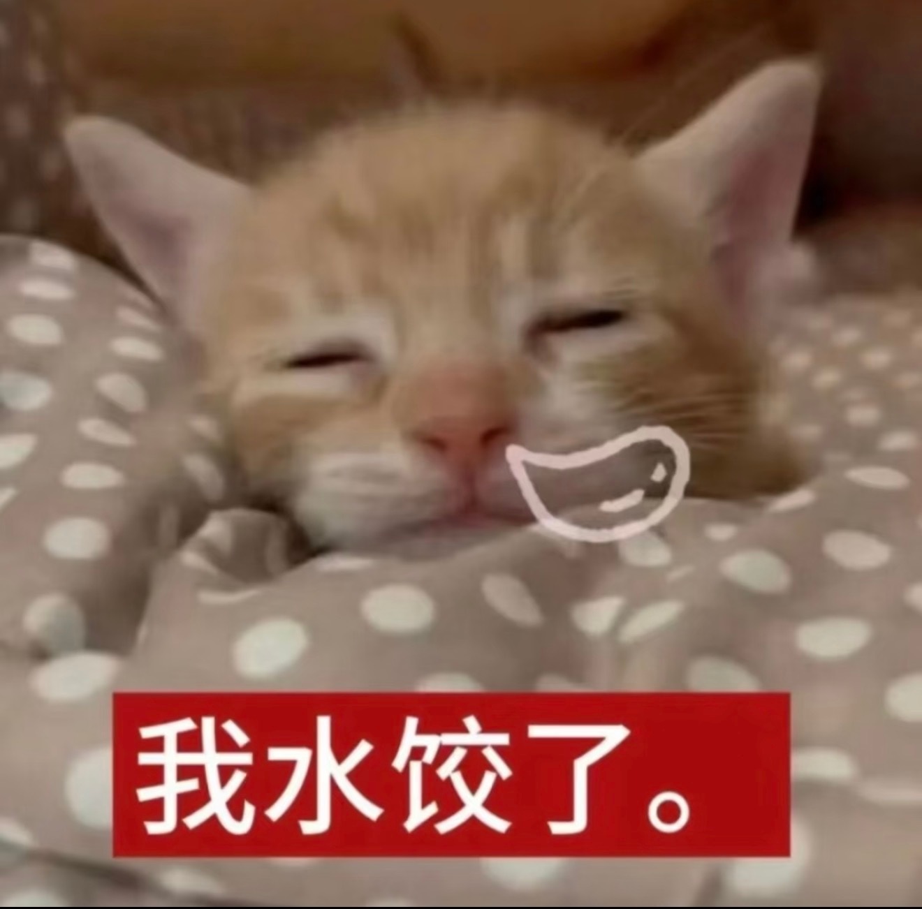 今天的网就上到这了！晚安！ 