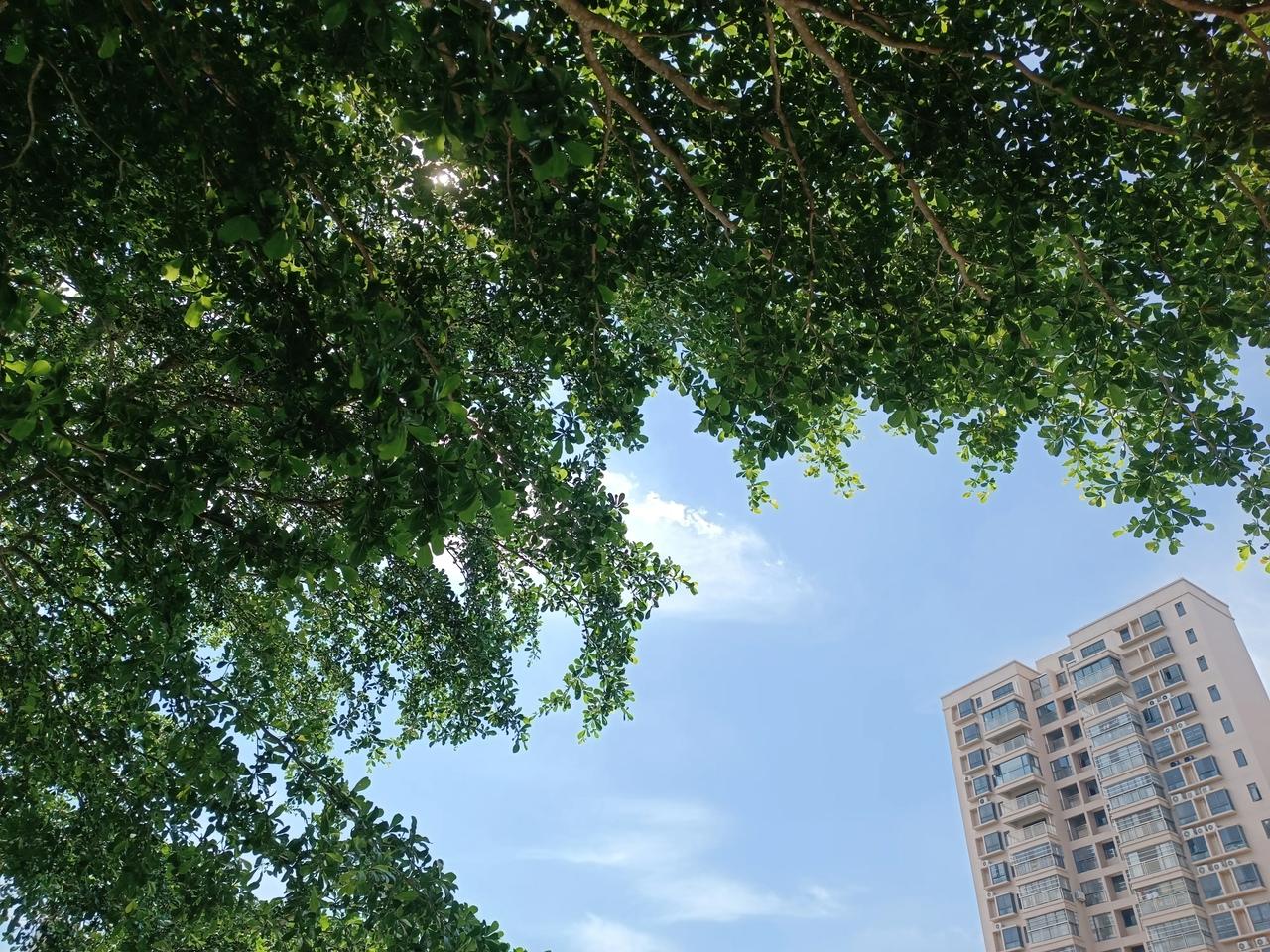 我认为华为，苹果也很好
太贵的都买买不起呀
只要价格适合，都很喜欢哈