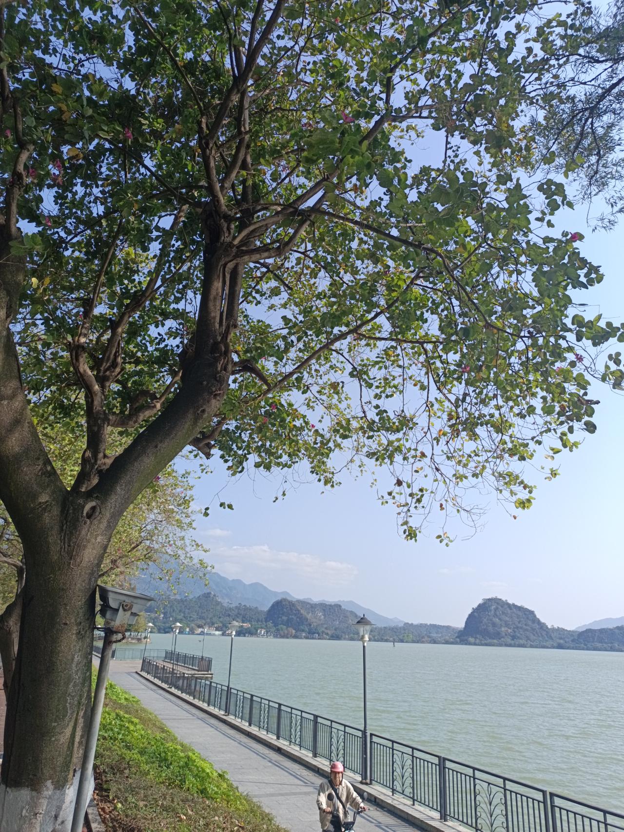 为什么肇庆虽然是个三四线城市
却依然有这么好的风景？


家人们谁懂啊，肇庆竟然