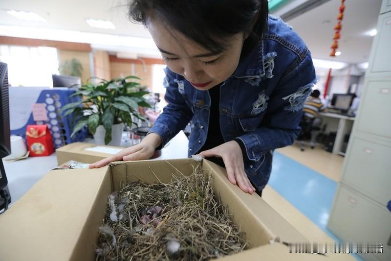 太牛了！江苏59岁邹女士顺利产下4斤4两男婴，刷新当地高龄产妇生产纪录。

  