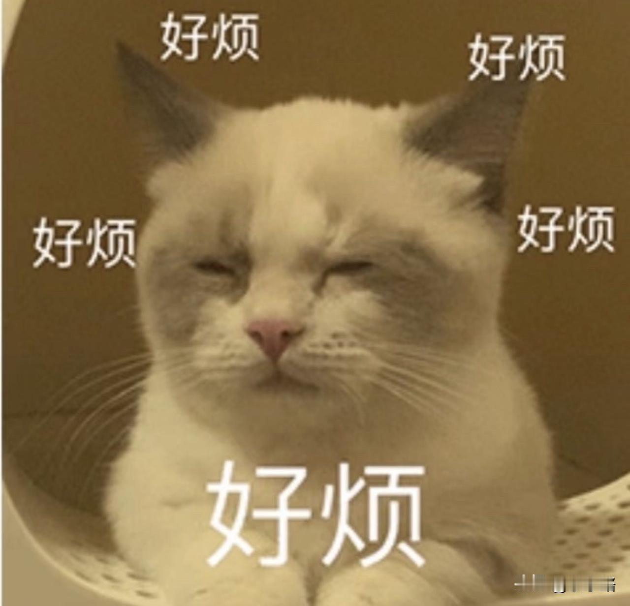 请假条———

尊敬的各位领导，各位朋友，今天周六，跟诸位请个假。

这几天有点