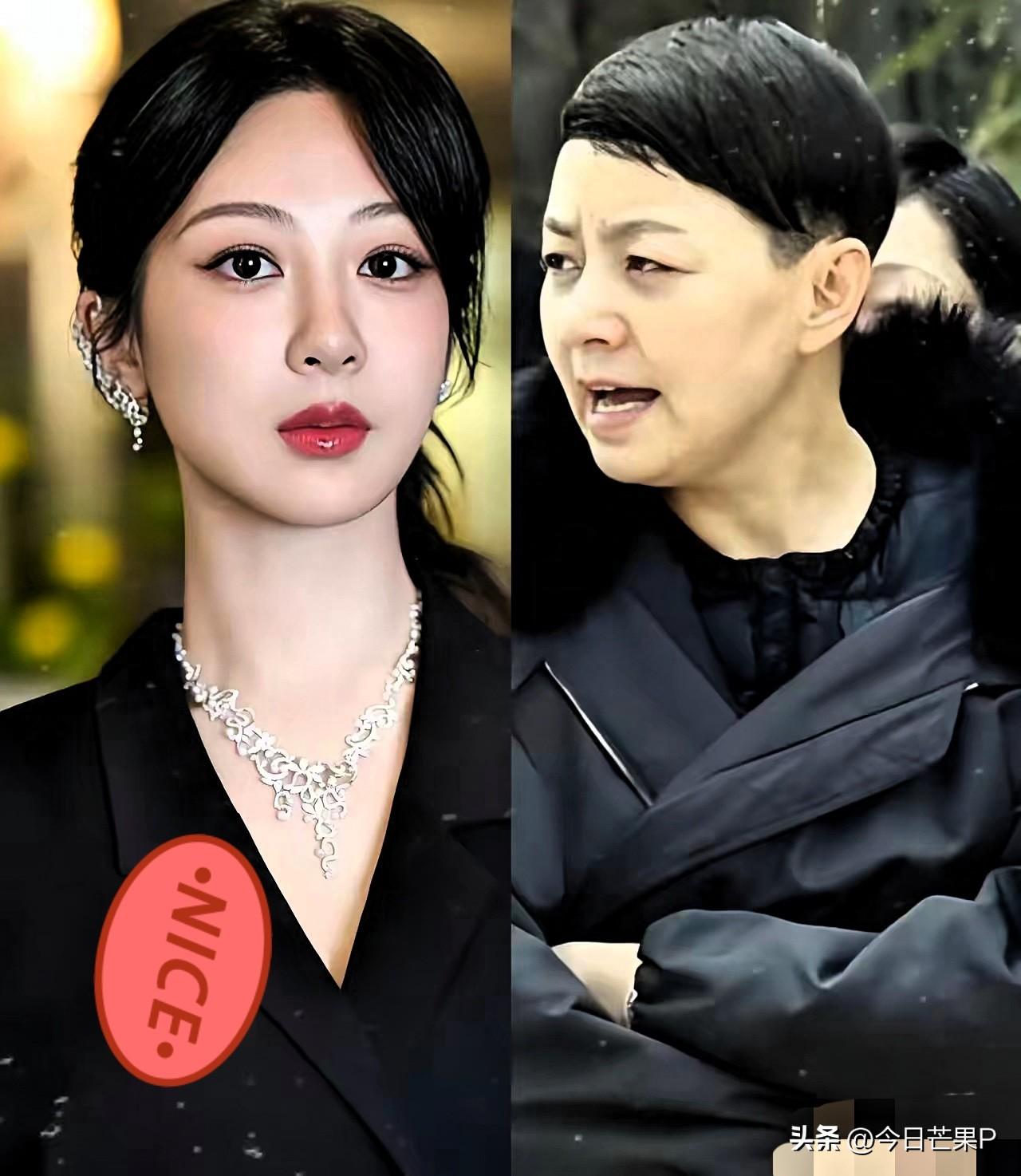 杨紫获白玉兰视后，
宋丹丹的话终于应验了，
当年她曾对杨紫说“你长得不漂亮吃不了