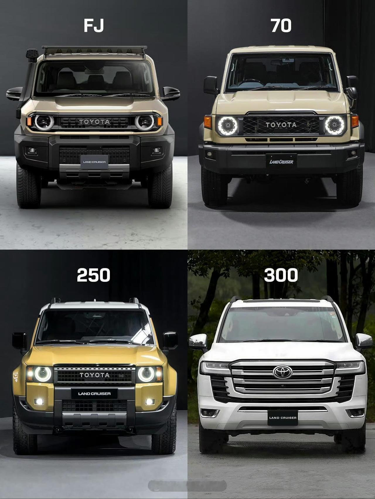 新陆巡家族，大家感受一下