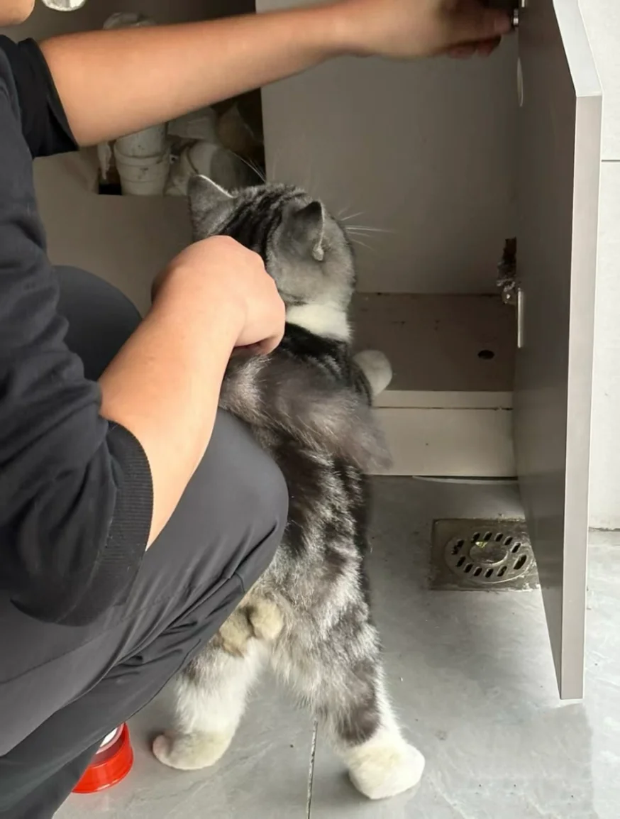 维修师傅上门，给它忙坏了！