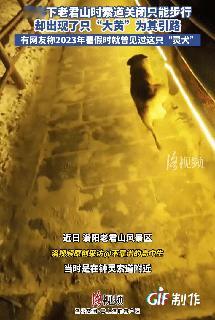 万物皆有灵！近日河南洛阳老君山，男子爬山时间太久导致下山时缆车已经关闭，只能在夜