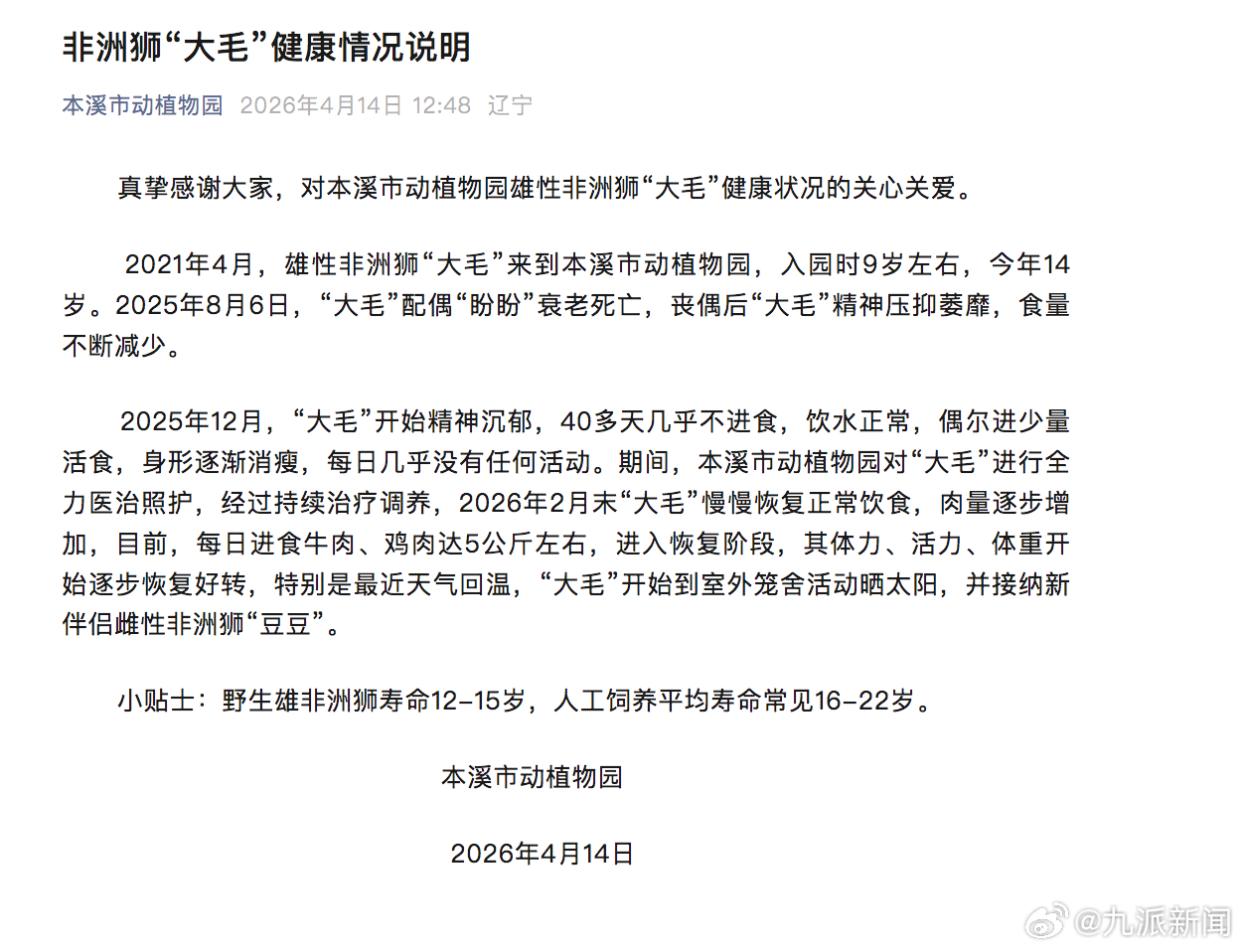 #非洲狮大毛已接纳新伴侣#【#本溪动植物园通报非洲狮情况#】4月14日，辽宁本溪