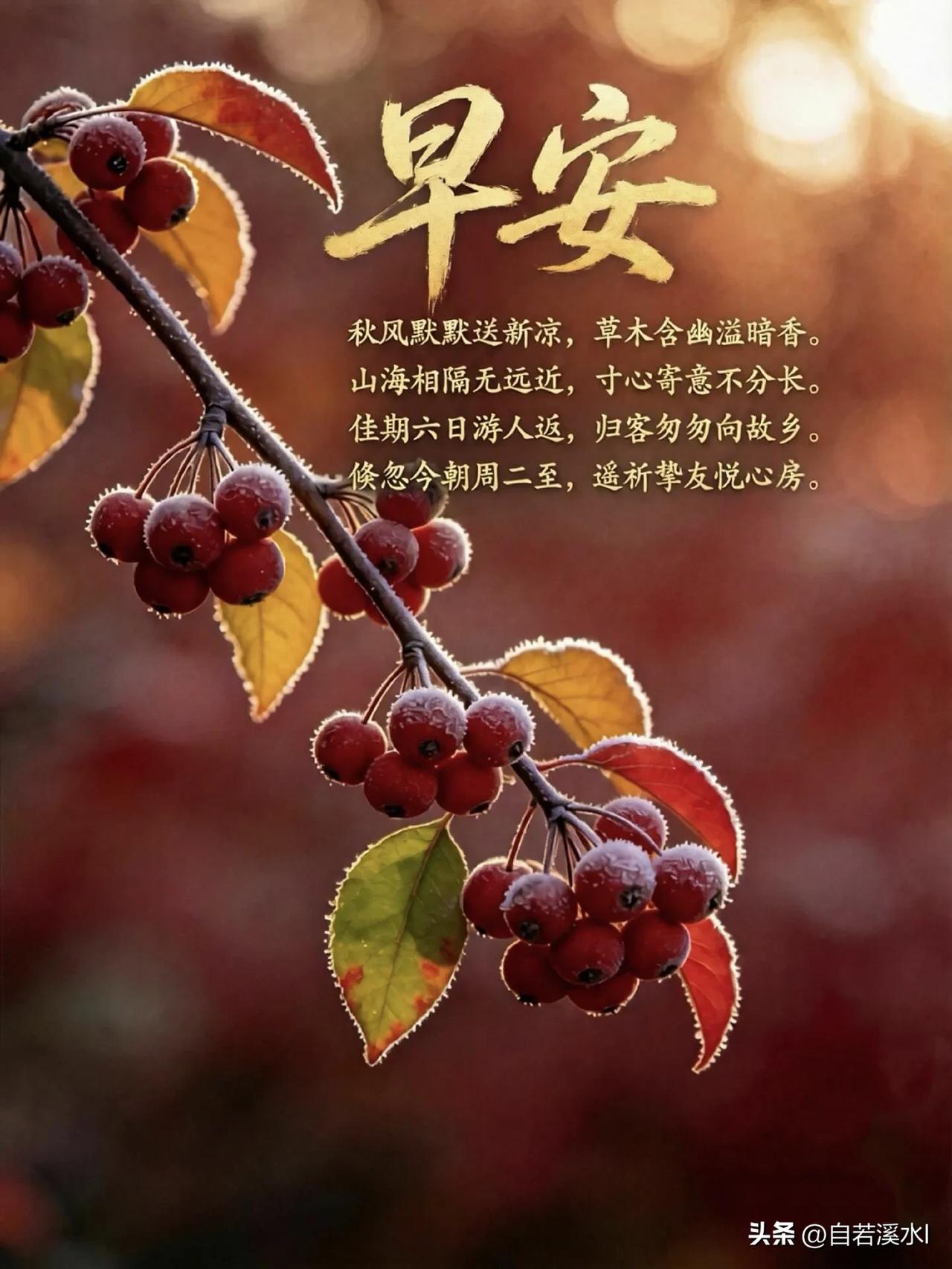 红果凝霜，秋风送暖，愿君岁岁安康，早安吉祥。