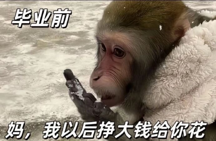 一大早的刚起床差点笑发财了打工人还真是惨兮兮[坏笑][坏笑] ​​​