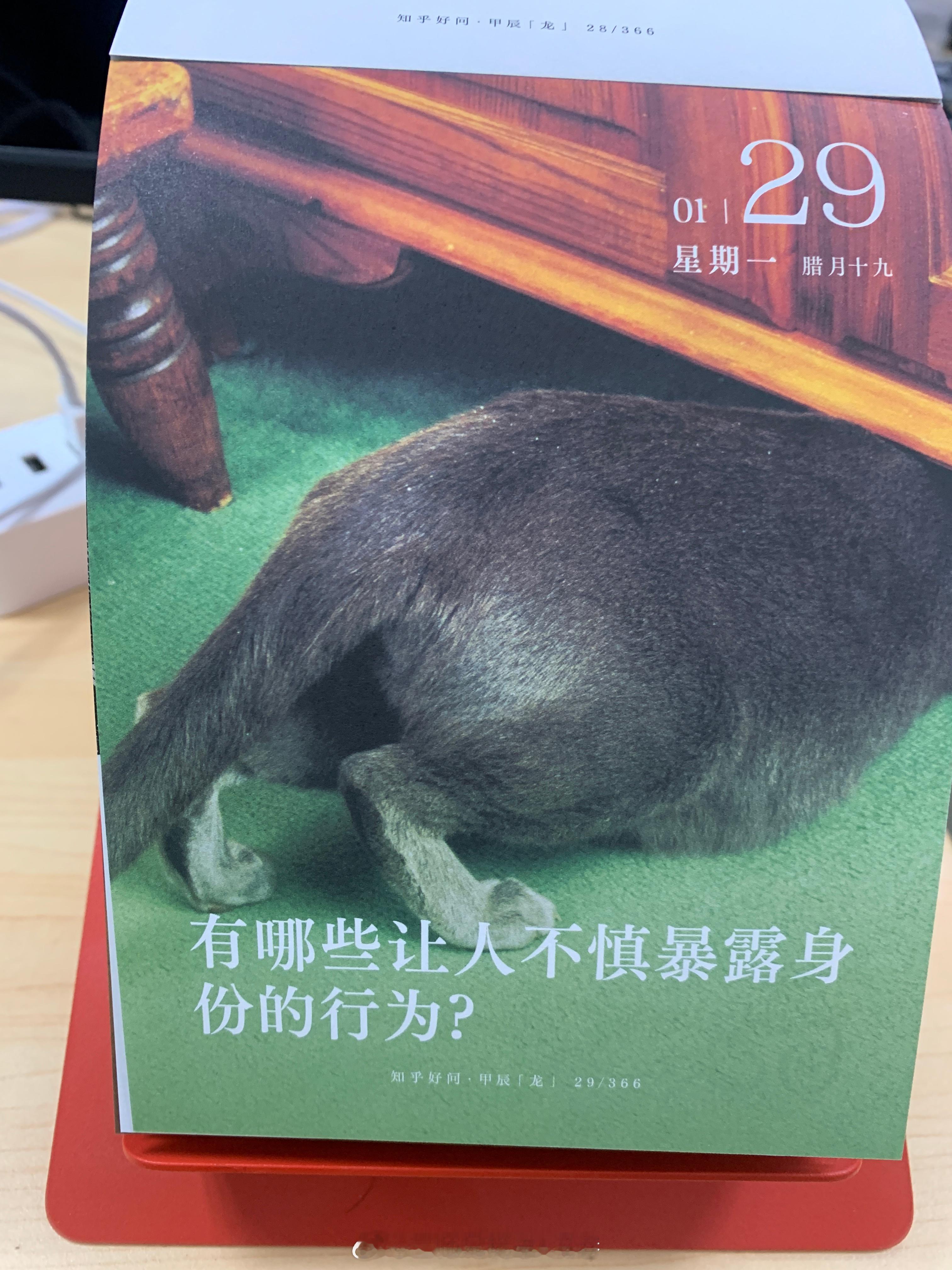 早安朋友们，你知道哪些行为容易让人暴露身份呢[doge] ​​​