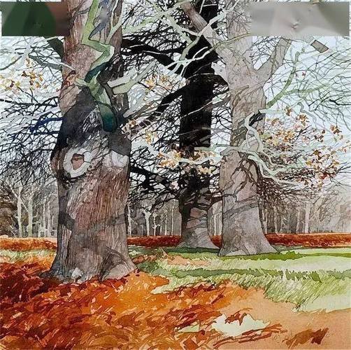 画家 Lan Sidaway 水彩作品欣赏风景遇见艺术绘画 ​​​