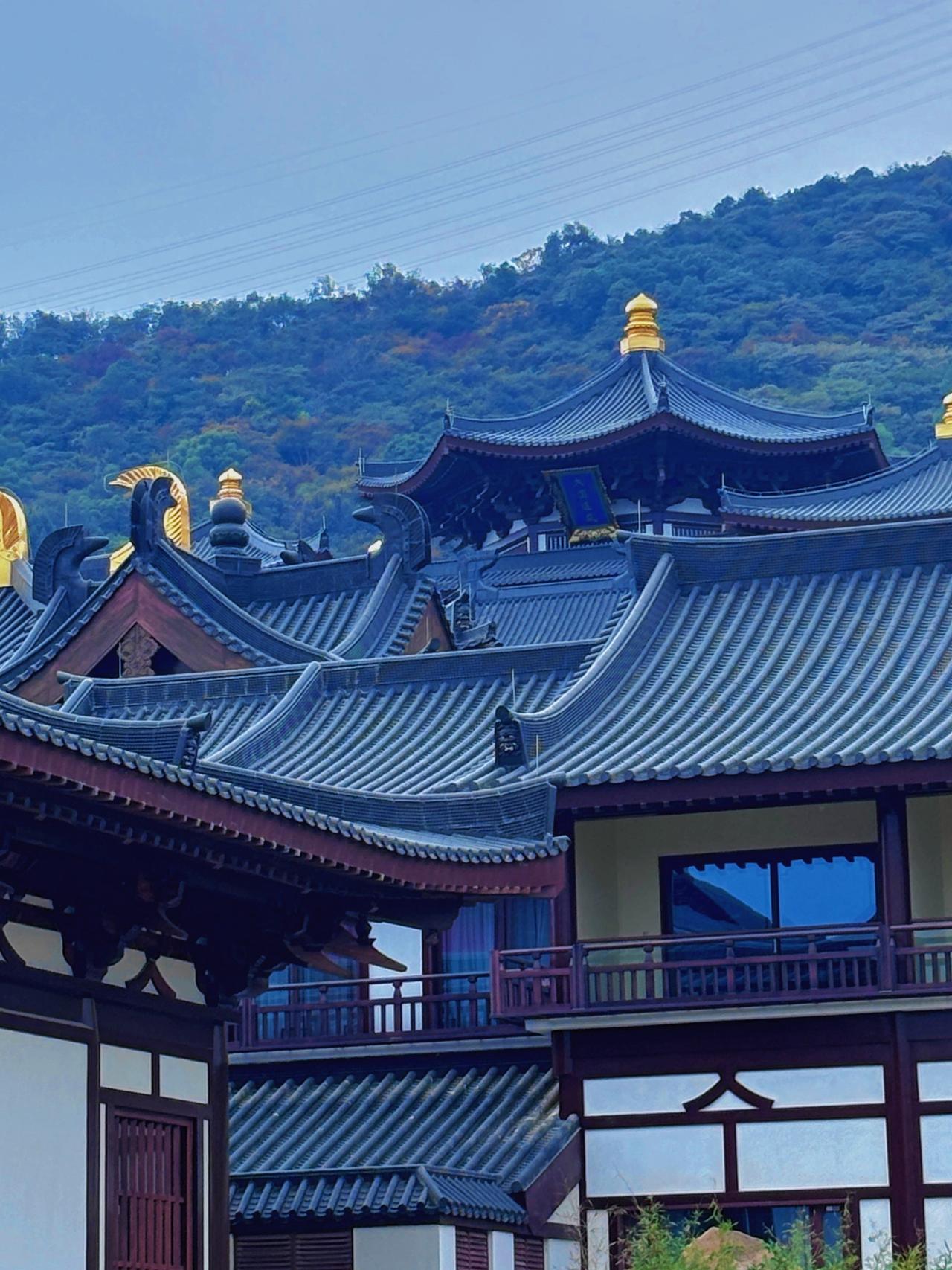 赶在雨落下来之前，去了趟百花古寺

它于2025年修葺落成，前几天开光，建筑风格