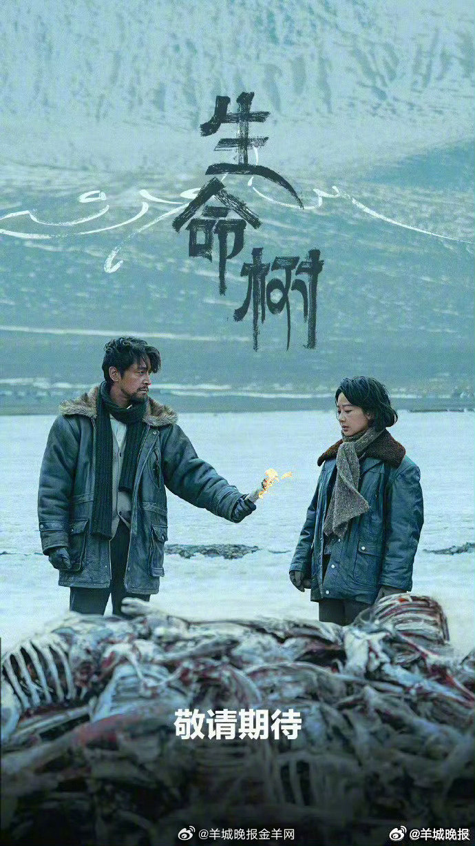 【哪部电视剧是你的春日必备】春日里总要有一部温柔入心的剧集相伴，它如同微风轻拂心