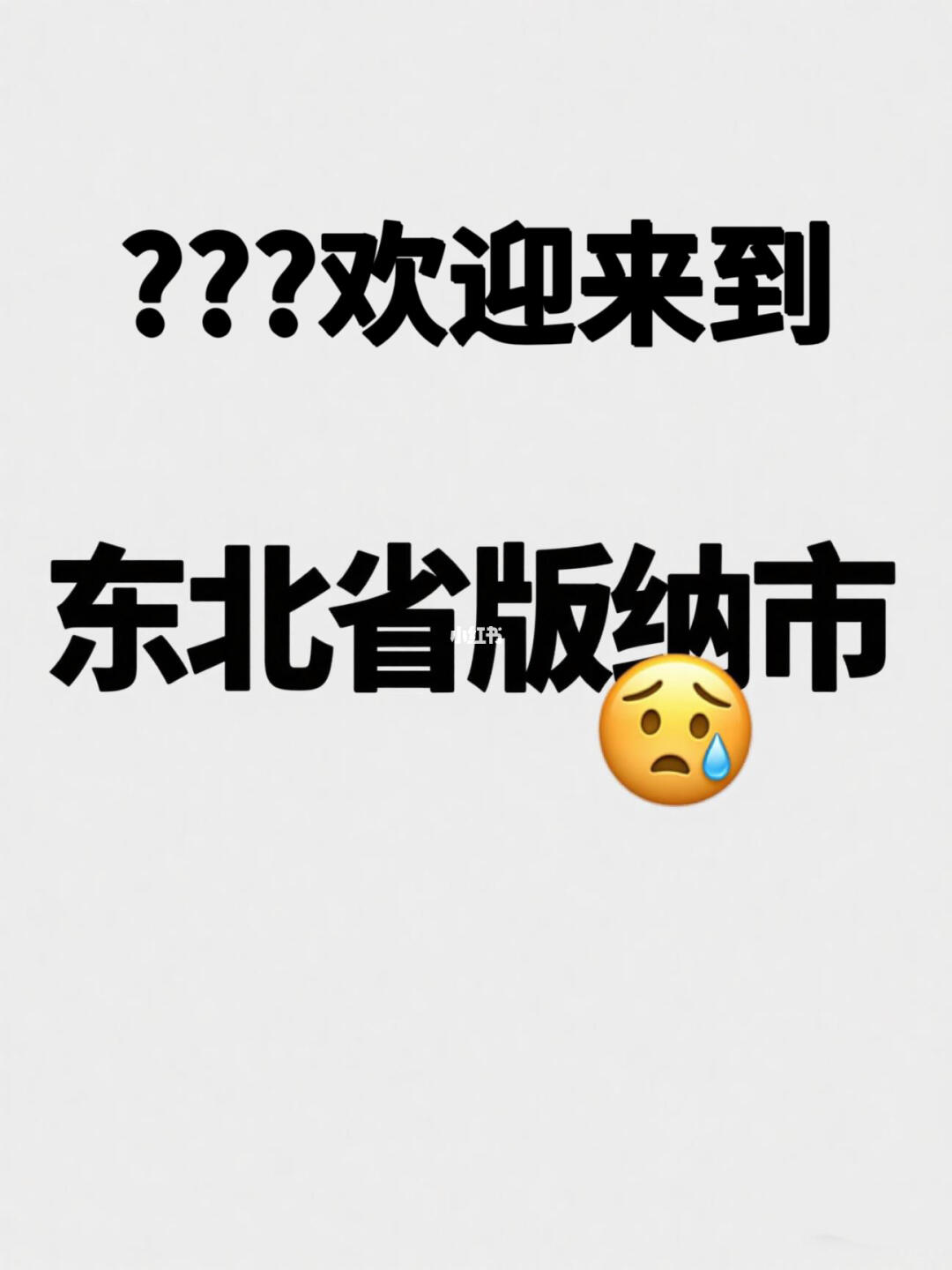 所以版纳到底有多少东北人……