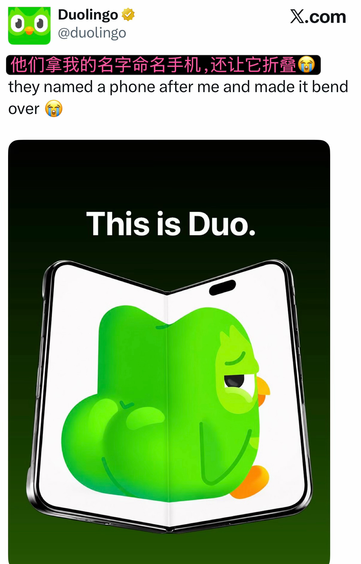 我服了多邻国这只小绿鸟😂😂三星嘲讽苹果iPhoneDuo多邻国玩梗iPhon