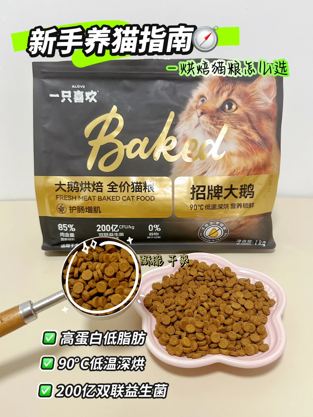 新手养猫指南⏰烘焙猫粮怎么选？