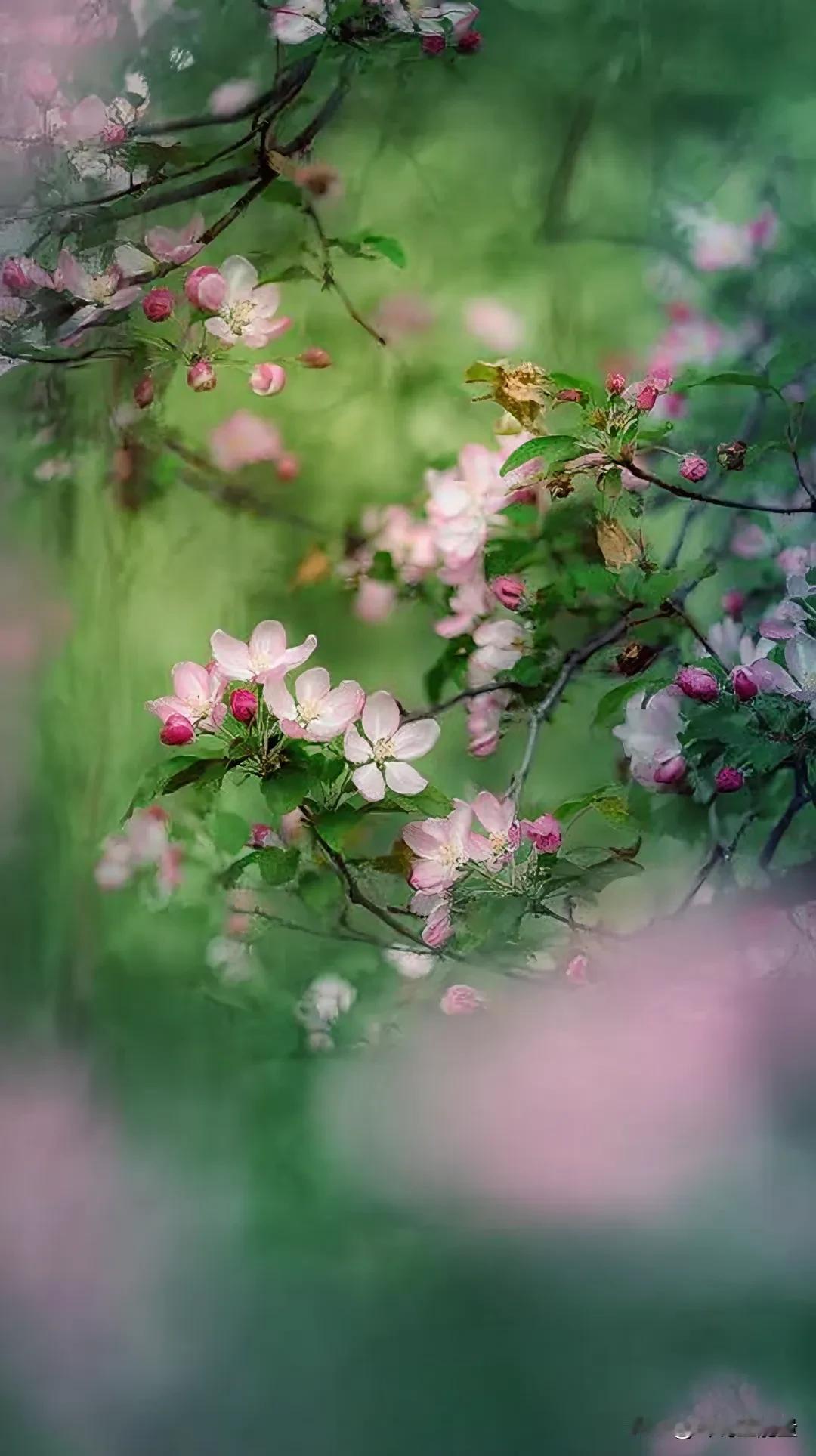 扎心了！面相辨人？别被这句“哲理”骗了半辈子！
 
这句话在网络上风头极盛，很多