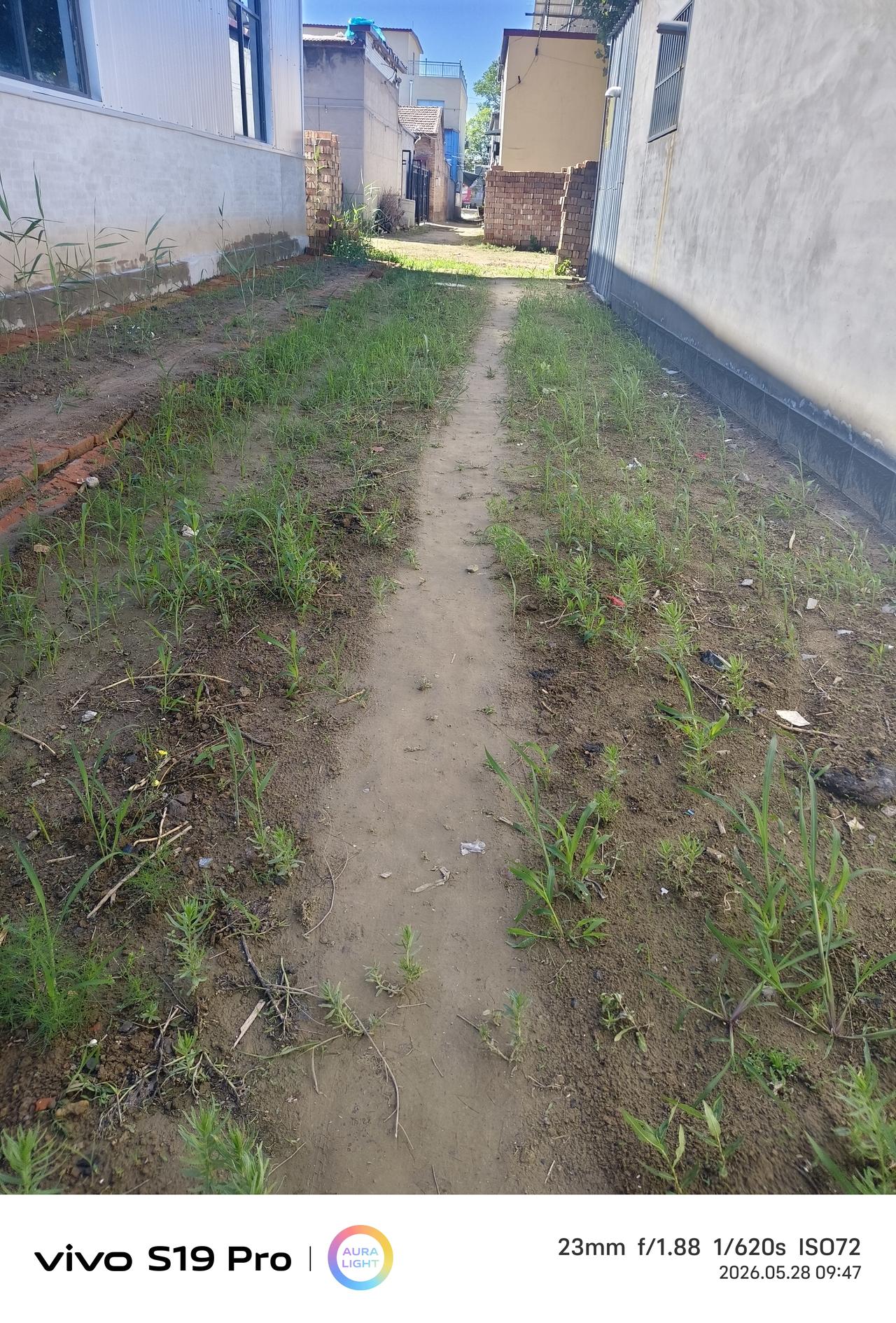 鲁迅先生说过，世上本来是没有路的，只不过走的多了就成了路……这一条路就是我每天喂