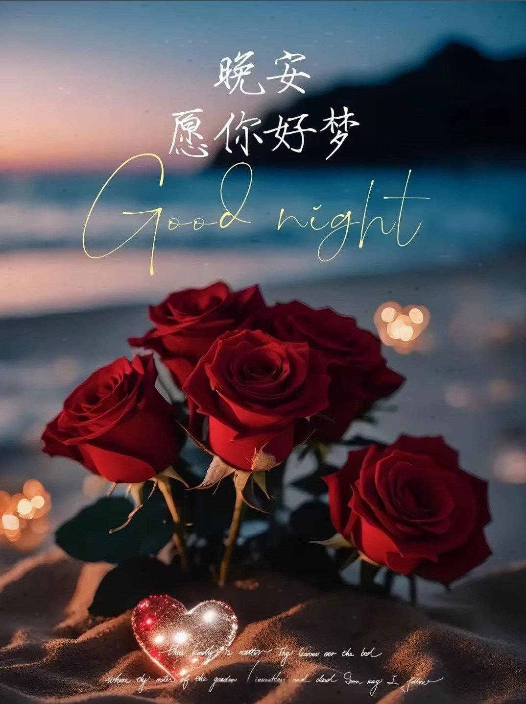 晚风温柔，玫瑰寄情。卸下整日疲惫，和世界道一声晚安🌙 