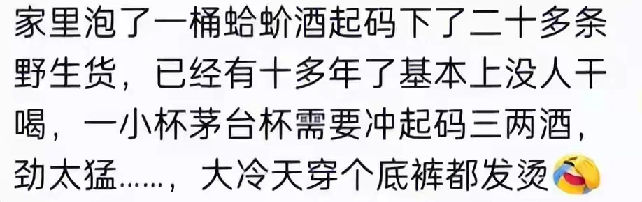 农村老辈子的泡酒有多厉害？一喝一个不知声