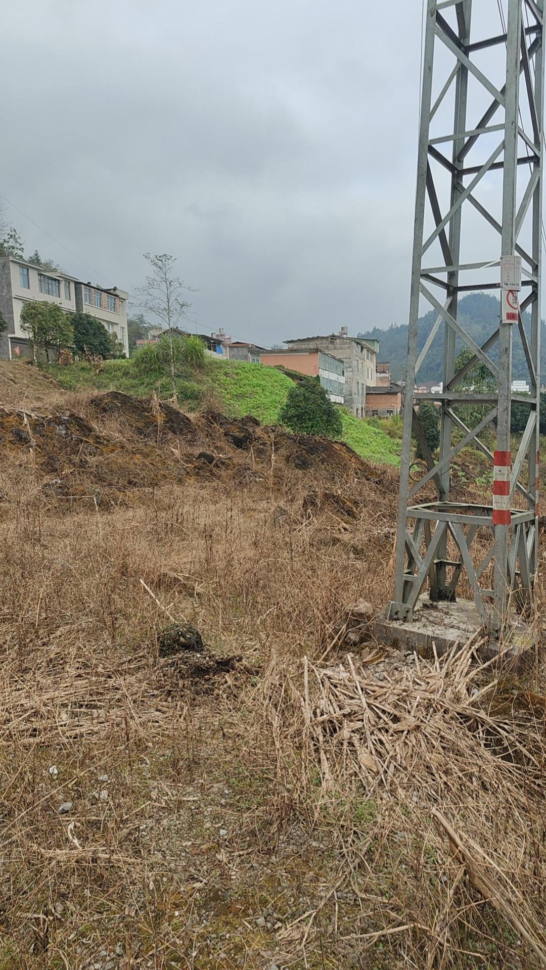 年迈的的父母健在是幸福还是负担