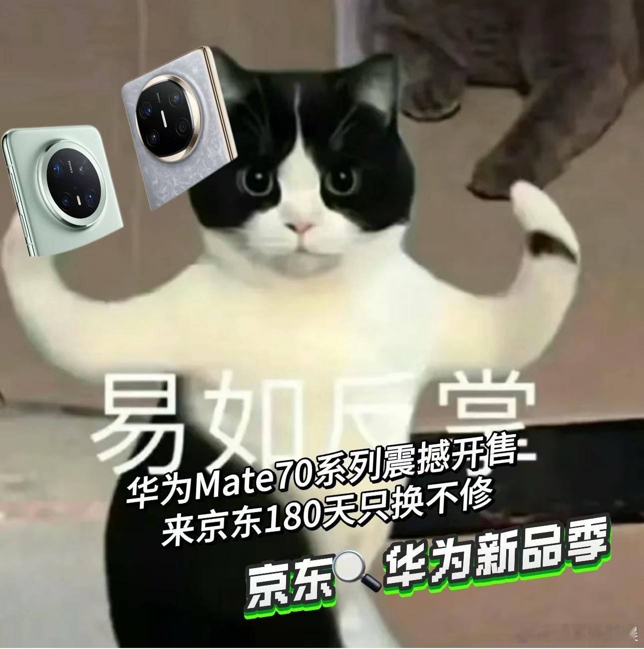Mate70红枫原色影像拍得有多准  色彩管理大师，记录生活原色。华为新品在京东