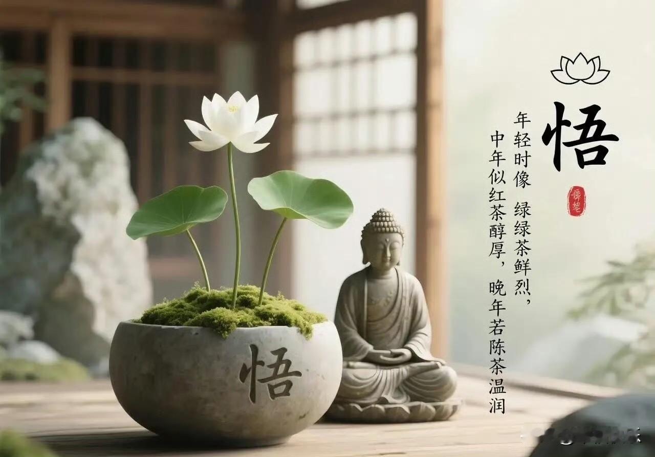 2025.12.04
——深耕，早盘

茂莱转债：等待上市中
瑞可转债：等待上市