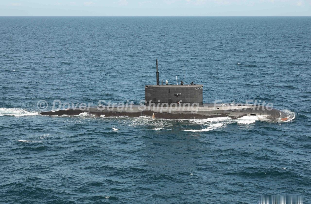 俄海军B-265“克拉斯诺达尔”号636.3型潜艇和“维克多·维利基”号2216