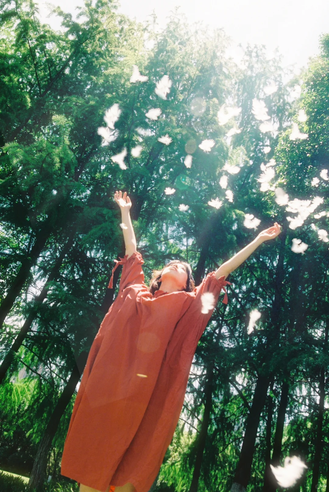 摄影本是时间暂停技术