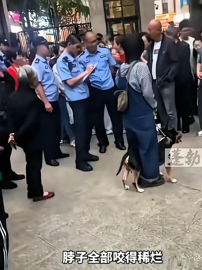四川仁寿县牛头梗犬伤人这事，归根结底是没有给狗戴口套，如果戴口套，就不会出现这种
