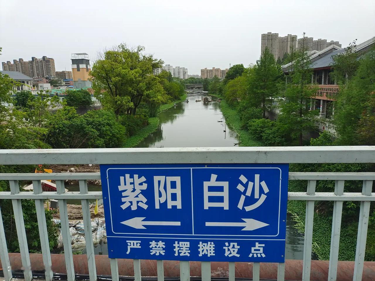 真有想象力，说的很好，八分山上的泉水进入了汤逊湖，清清的泉水是那么的诱人，巡视河