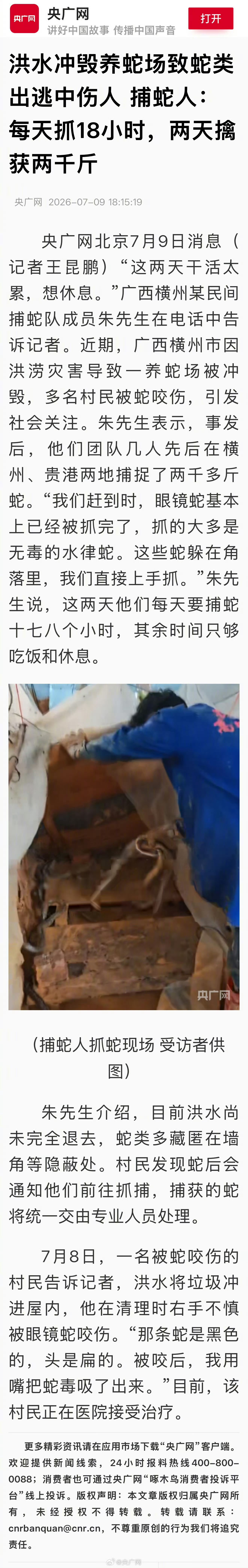 广西捕蛇人2天擒获两千斤蛇真的被这条新闻惊到了！广西横州发大水冲垮养蛇场，到处都