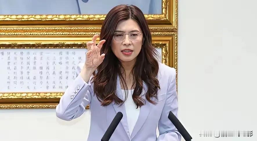 摊牌了，郑丽文接受采访：两岸未来发展必须以和平方式、尊重台湾人民意愿及福祉，不接