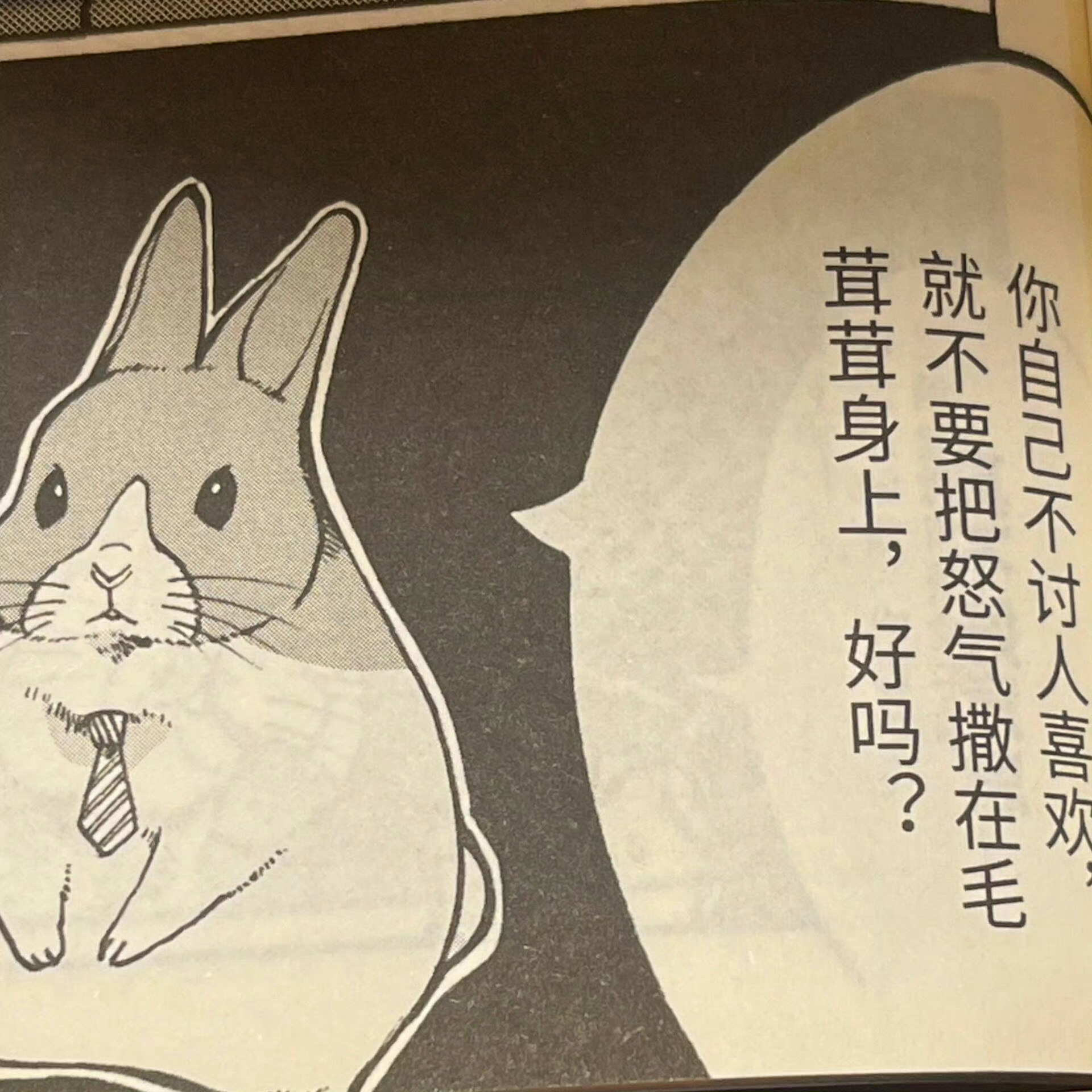 【免责声明】若我任何一条微博冒犯到你不熟的情况下请直双同理你有任何我觉得冒犯到我