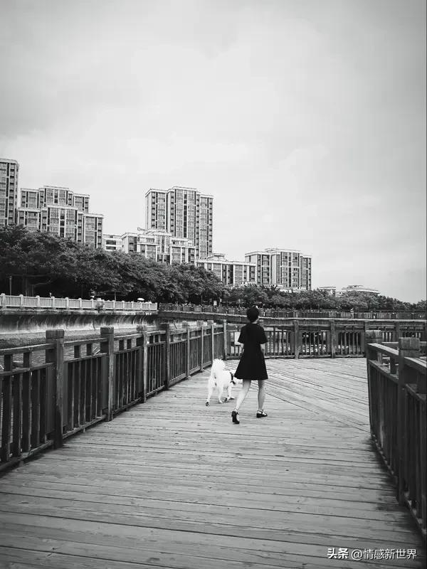 春天散步随拍 春天散步，就像掉进了大自然的调色盘！今天出门溜达，随手一拍都是美景