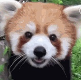 山晓爱看影视剧