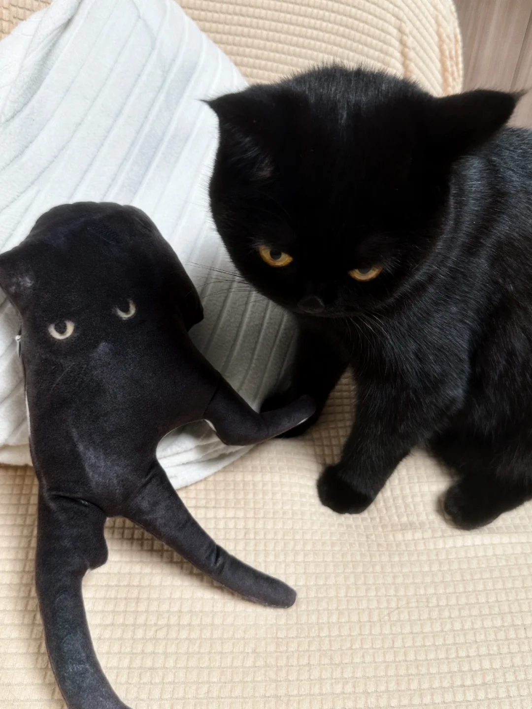 老师 我家孩子看起来不太开心啊